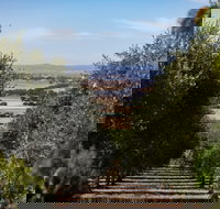 Wollundry Grove Olives - Accommodation Port Hedland