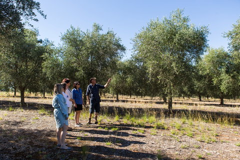 Wollundry Grove Olives - Accommodation Port Hedland 1