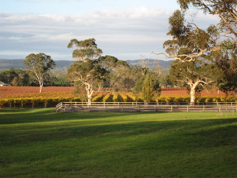 Top Note Vineyard - Accommodation Port Hedland 1