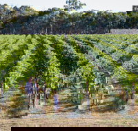 Weathercraft Wines - Accommodation Port Hedland