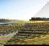 Wine Terrace and Cellar Door at Pt Leo Estate - Accommodation Port Hedland