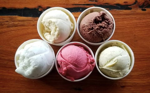 Bellingen Gelato - Accommodation Port Hedland 0
