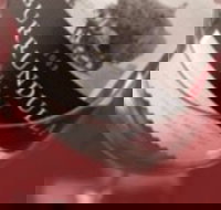 Burrundulla Vineyards - Accommodation Port Hedland