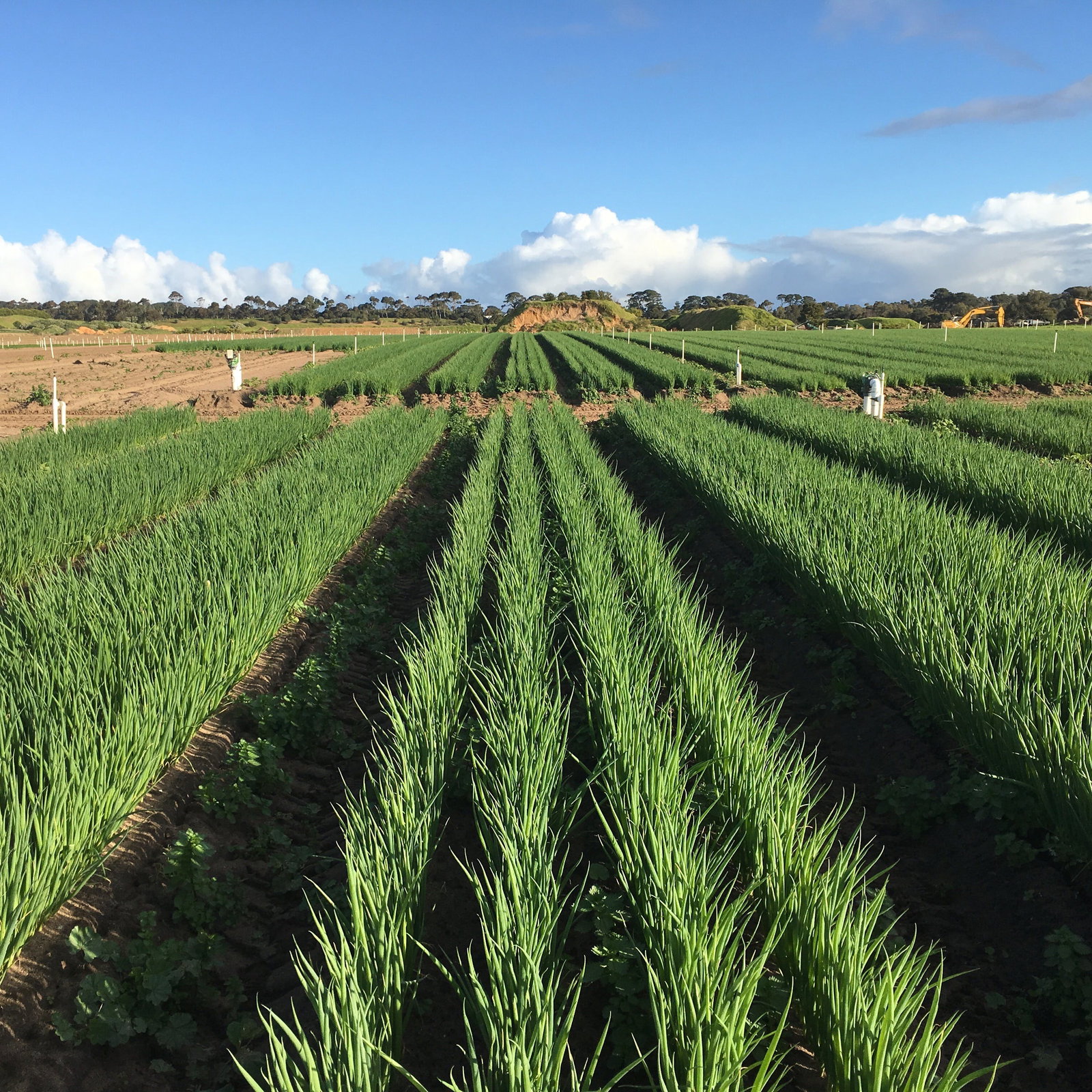 Boneo VIC Accommodation Port Hedland