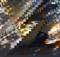 Kombi Koffein - Accommodation Port Hedland