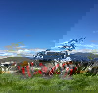 Red Feet Wines - Accommodation Port Hedland