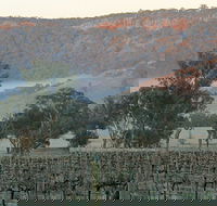 Wilksch Estate Wines - Accommodation Port Hedland