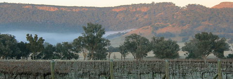 Wilksch Estate Wines - Accommodation Port Hedland 0