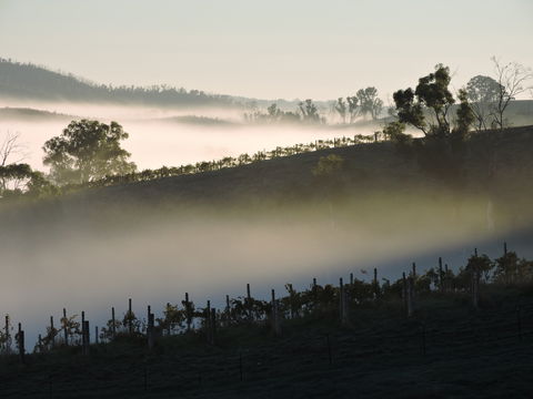 Mt Bera Cellar Door And Restaurant - Accommodation Port Hedland 1
