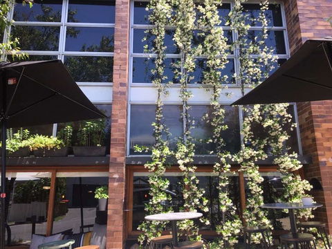 Quincy's Bar & Cafe - Accommodation Port Hedland 0