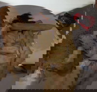 Tandoori Inn - Accommodation Port Hedland