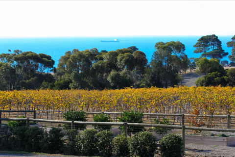 Terindah Estate - Accommodation Port Hedland 2