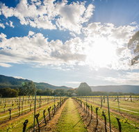 Fallen Giants Vineyard