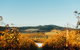 HOOSEGG Cellar Door - thumb 1