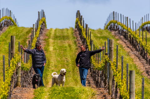 Tim Adams Wines - Accommodation Port Hedland 2