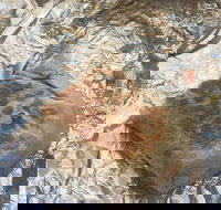 Mad Mex Fresh Mexican Grill - Accommodation Port Hedland