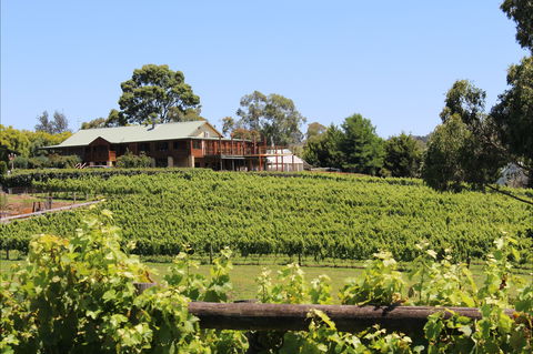 Djinta Djinta Winery - Accommodation Port Hedland 0