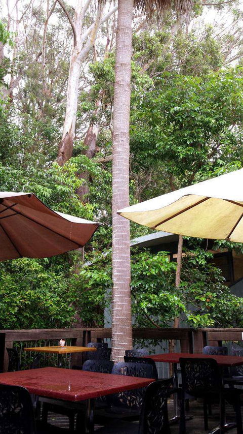 Rainforest Cafe - Accommodation Port Hedland 0