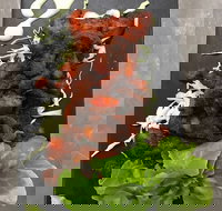 Royal India Restobar - Accommodation Port Hedland