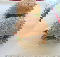 Taylor's Seafood - Accommodation Port Hedland