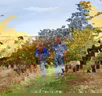 WayWood Wines - Accommodation Port Hedland