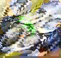 Captain  Co Fish Bar - Accommodation Port Hedland