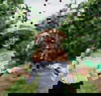 Cherryhill Orchards - Accommodation Port Hedland