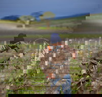 Kurtz Family Vineyards - Accommodation Port Hedland