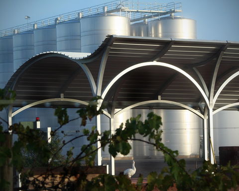 Andrew Peace Wines - Accommodation Port Hedland 2