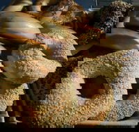 Criterion Tavern - Accommodation Port Hedland