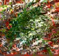 Mount Buninyong Winery - Accommodation Port Hedland