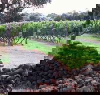Spring Vale Vineyard - Accommodation Port Hedland