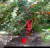 Fords Farm - Accommodation Port Hedland