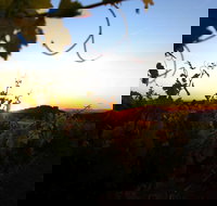 Glenbosch Wine Estate - Accommodation Port Hedland