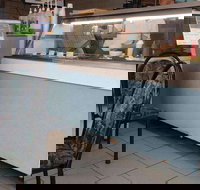 The Natural Cafe - Accommodation Port Hedland