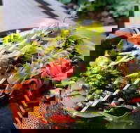 The Berry Farm Cottage Caf - Accommodation Port Hedland