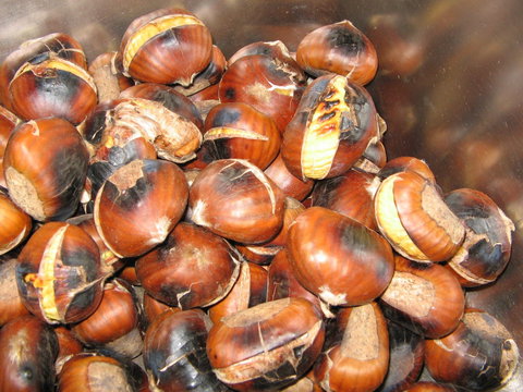 Tweenhills Chestnuts - Accommodation Port Hedland 0