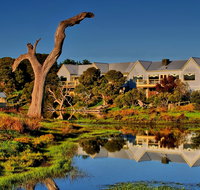 The Minya Vineyard  Winery