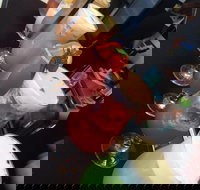 Wiseguy Espresso and Schnitzel Bar - Accommodation Port Hedland