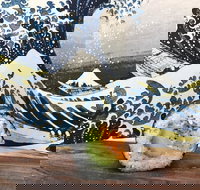 Bamboo Exmouth - Accommodation Port Hedland