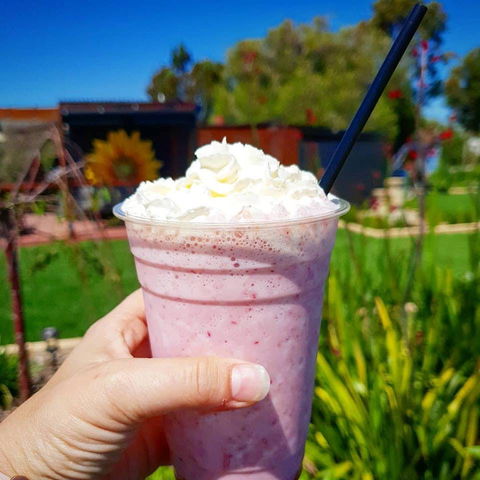Flower Cellar Door And Cafe - Accommodation Port Hedland 0