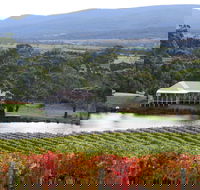 Milton Vineyard - Accommodation Port Hedland