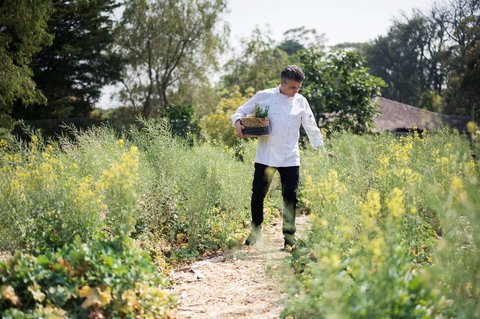 The Wild Flower Bar And Dining - Accommodation Port Hedland 2