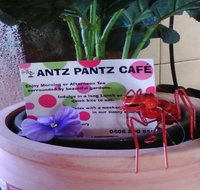 Antz Pantz Cafe