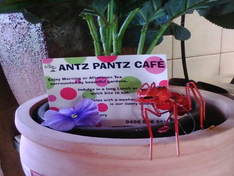 Antz Pantz Cafe - Accommodation Port Hedland 0