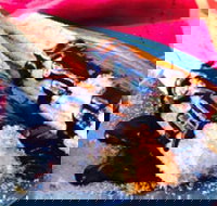 Donut King - Cranbourne - Accommodation Port Hedland