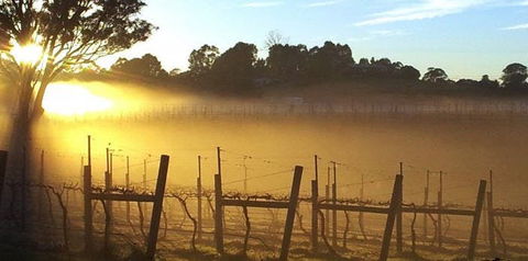 Nicholson River Winery And Barrel Room Restaurant - Accommodation Port Hedland 1