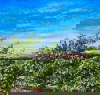 Rowsley Fault Vineyards - Accommodation Port Hedland