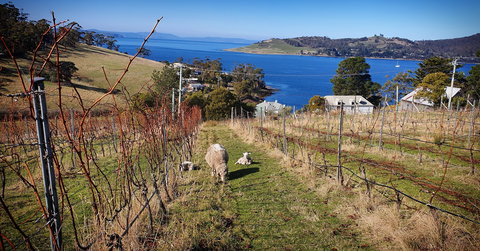 Anim Wine - Accommodation Port Hedland 1