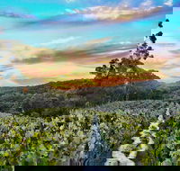 Between the Vines Cellar Door - Accommodation Port Hedland
